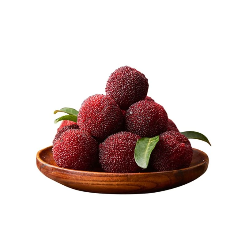 【云南杨梅】云南石屏精品硬丝一篮（约600克）