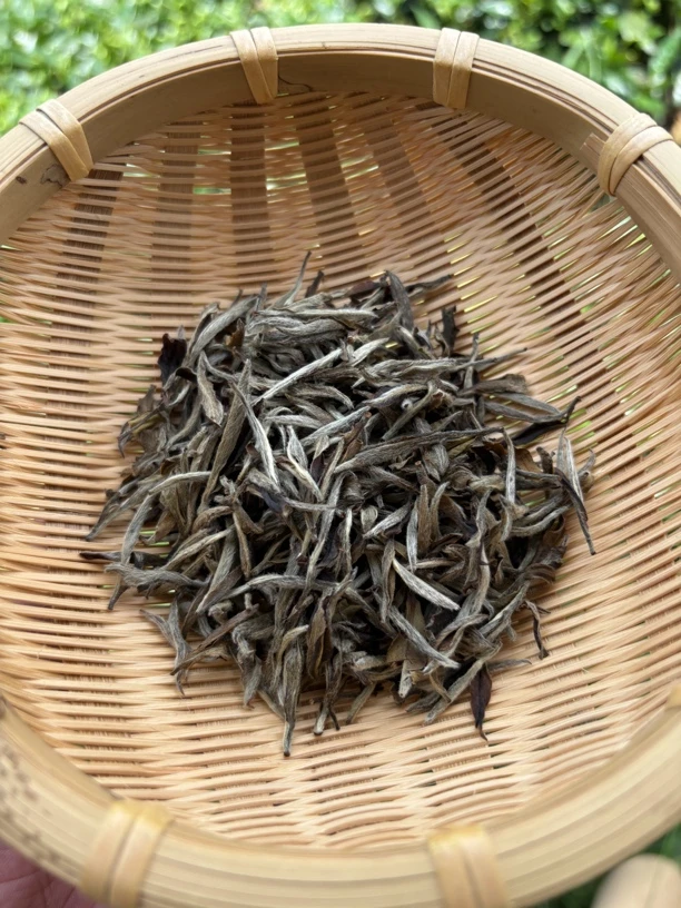 2018年 特级牡丹