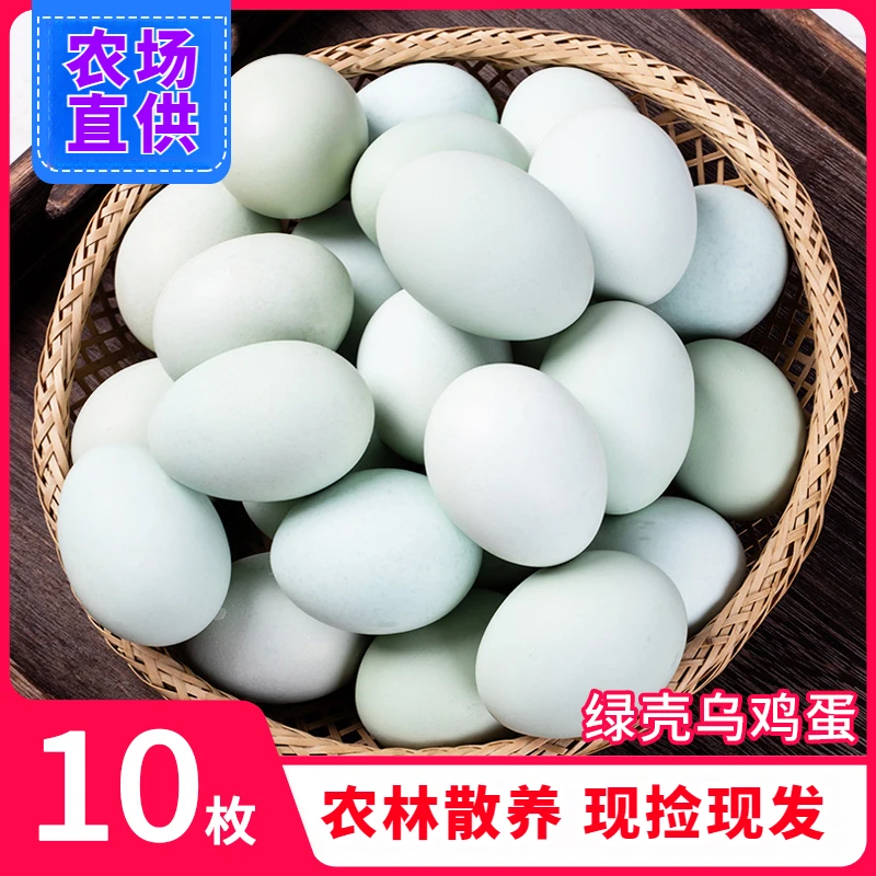 绿壳蛋优质农家散养土鸡蛋绿壳乌鸡蛋新鲜土鸡蛋10枚绿皮蛋草鸡蛋