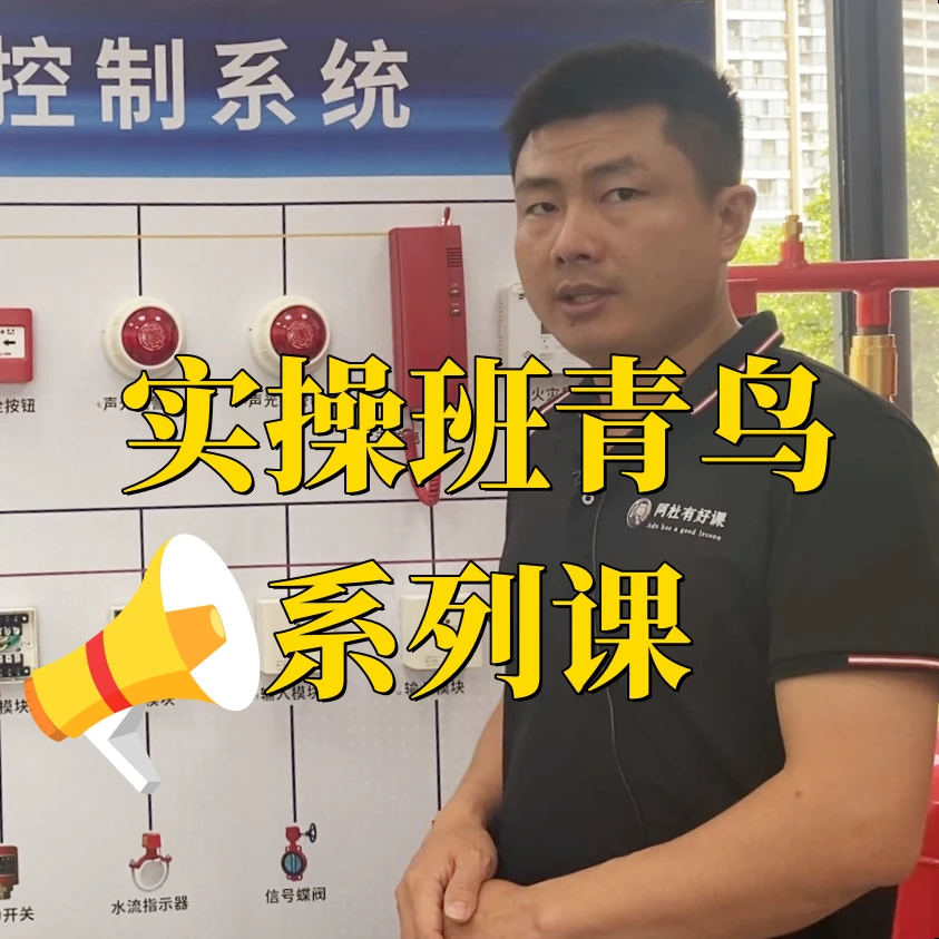 实操班青鸟系列课程