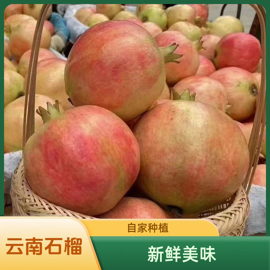 「自家种植」云南高山突尼斯软籽石榴 花皮果，新鲜采摘9斤装