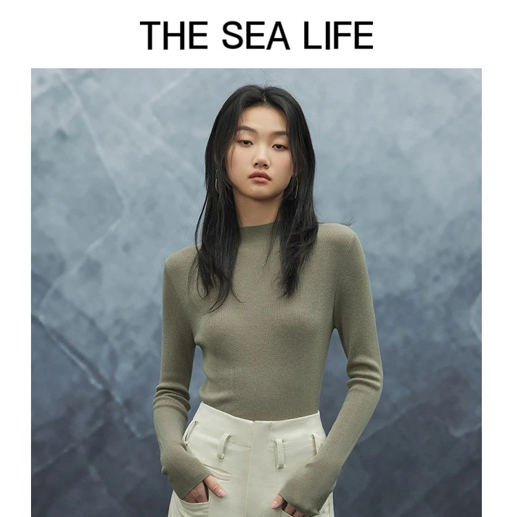 欧海一生2023秋冬弹力修身半高领针织衫显瘦气质thesealifeV12618