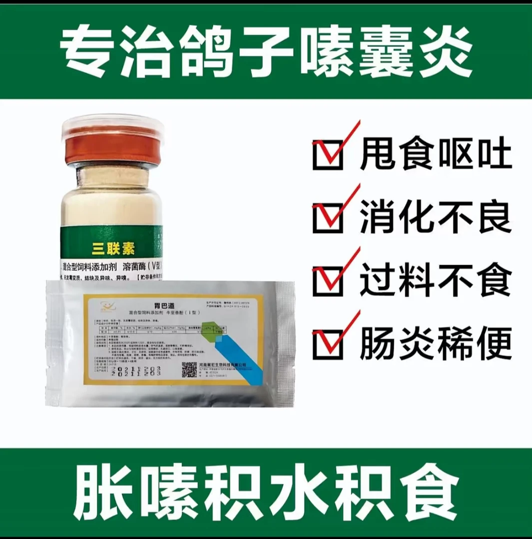 腺病毒套装:鸽鹦鹉鸟腺病毒，甩拉吐问题，消化不好！不伤体，不烧毛！