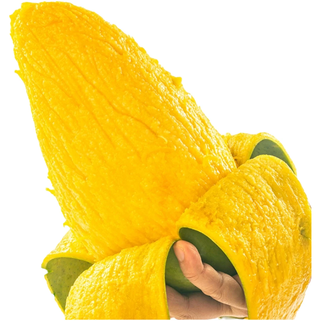 金煌芒果嫁接树多年生南方盆栽地栽庭院种植栽培