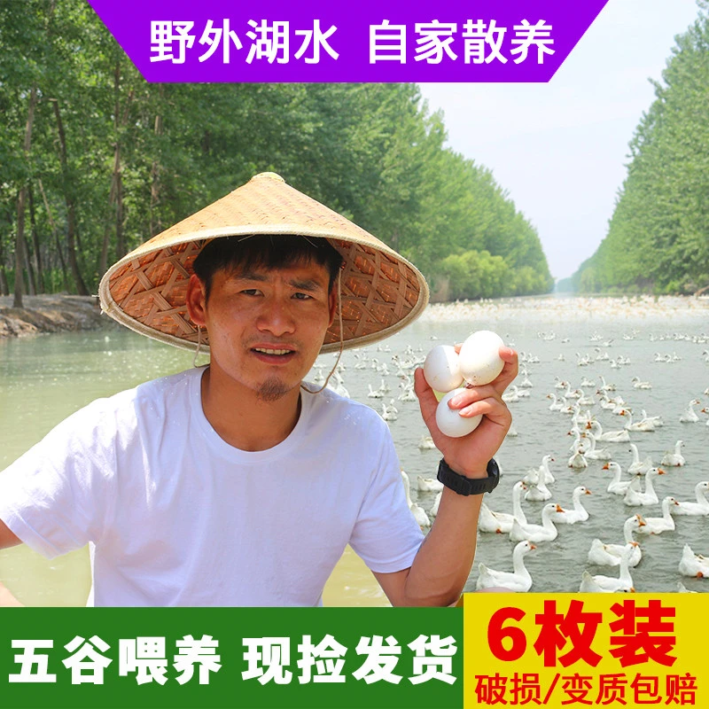 陈若凡【6枚】100-130克新鲜鹅蛋农家散养正宗大鹅非双黄四川土鹅蛋