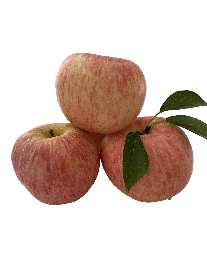 条纹红富士脆甜多汁烟台苹果新鲜水果原产地果园直发包邮今年新果