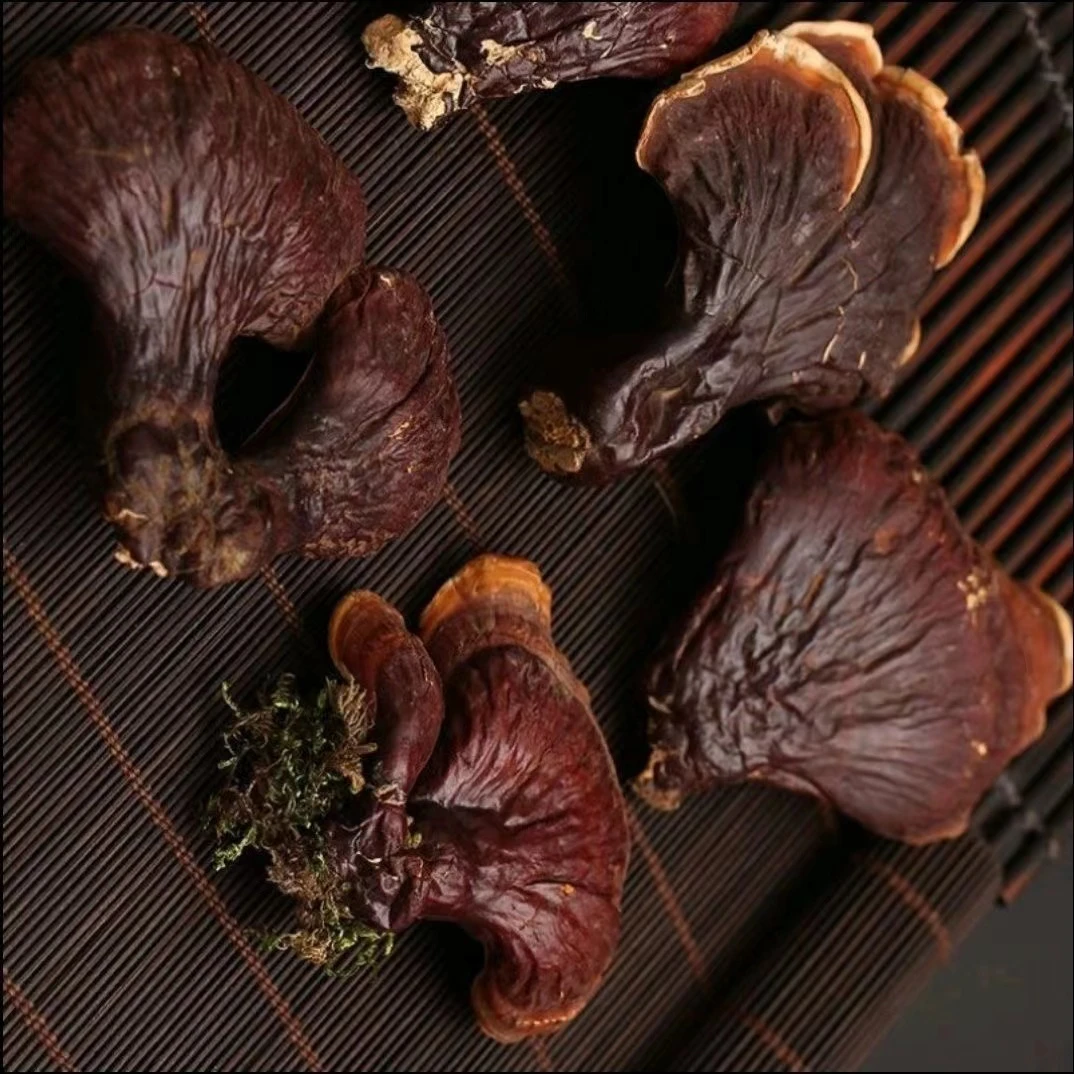 灵芝长白山赤灵芝东北手工林下灵芝深山灵芝整枝切片泡水泡酒枸杞