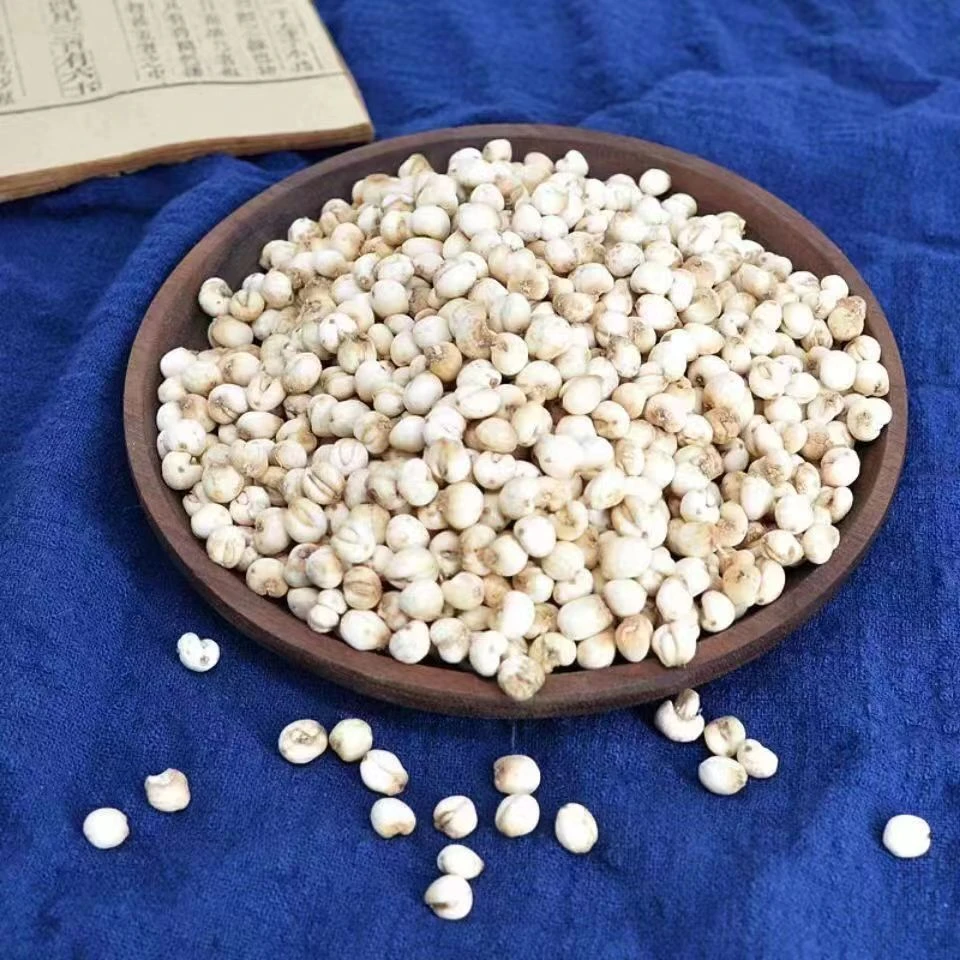 贝母  四川高山贝母  自然晾晒 颗粒饱满 手工挑选 可搭雪梨枸杞