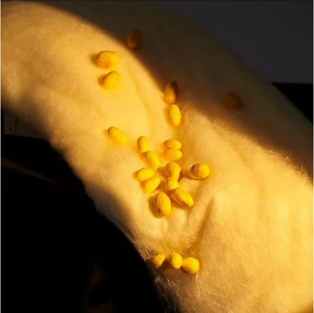 【送高端手提袋】黄金提花被 薄款黄金丝蚕丝被200*230 4斤±0.5 CSB