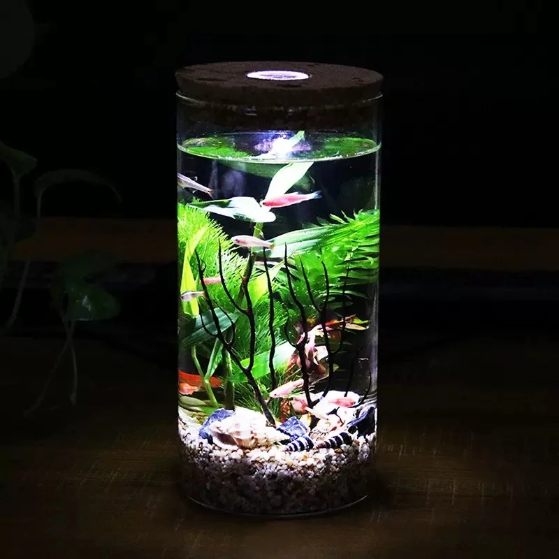 生态瓶DIY创意微景观高硼硅造景斗鱼缸办公桌面玻璃鱼缸