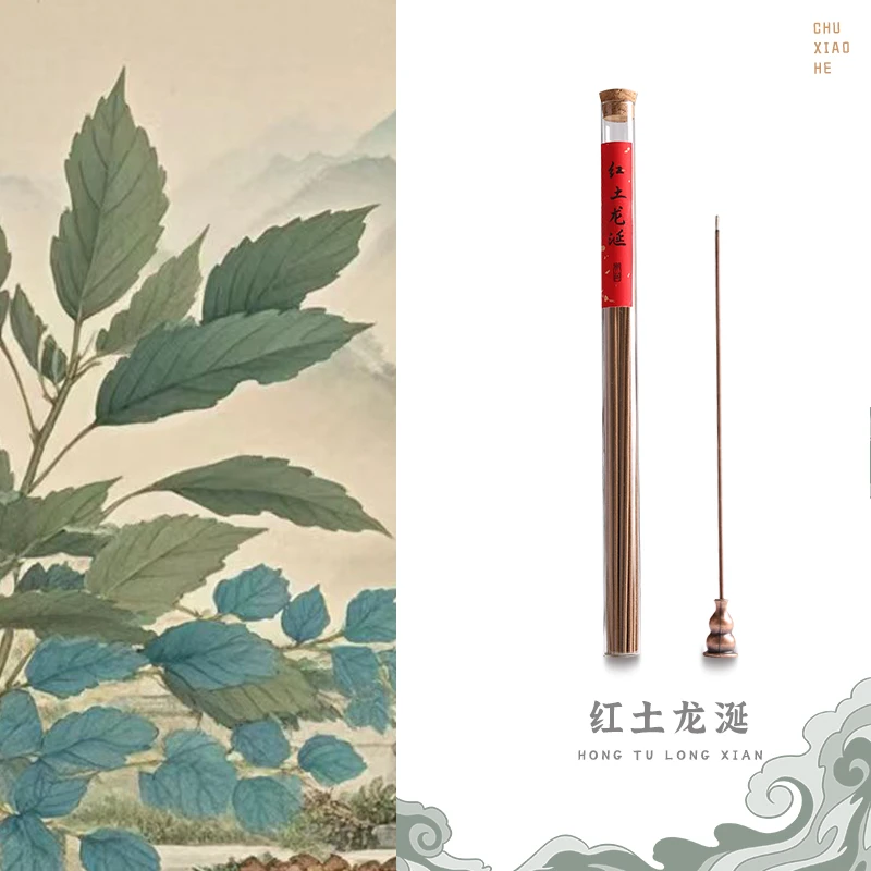 天然高阶越南芽庄红土龙涎线香白龙涎香室内茶室熏香