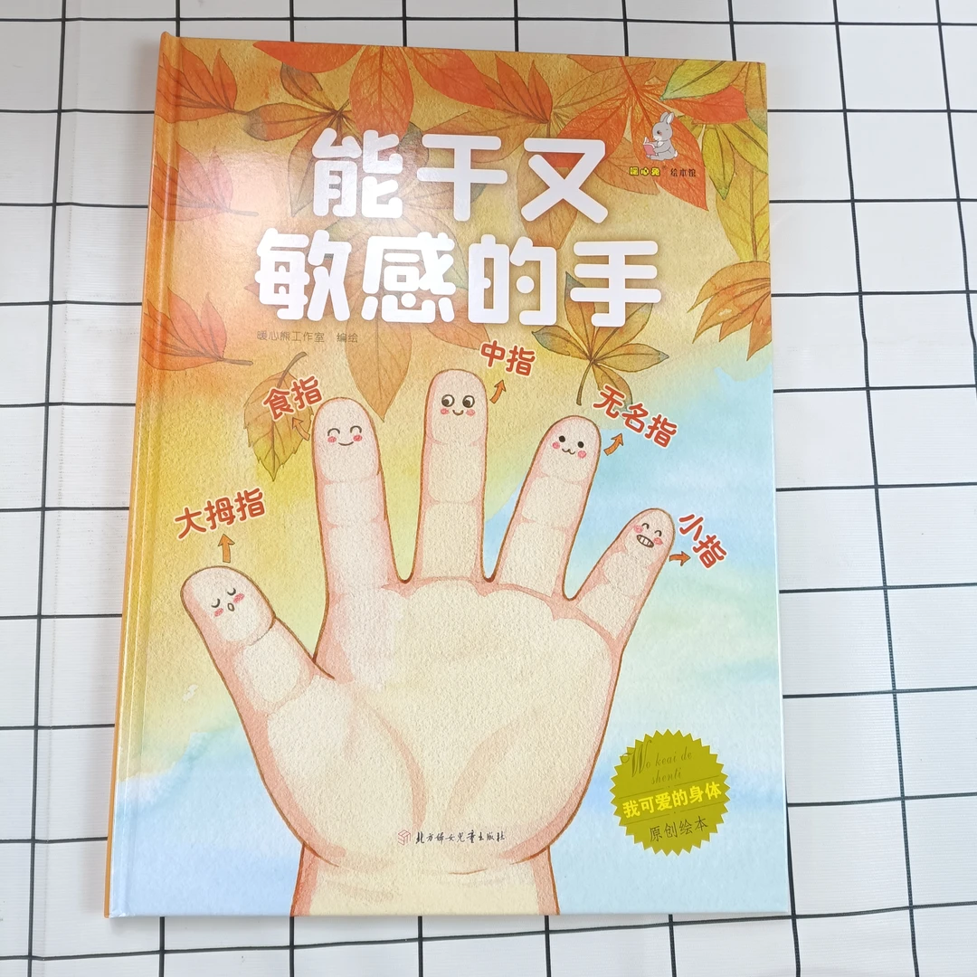 我可爱的身体：能干又敏感的手 硬皮硬壳精装绘本 儿童阅探索读书