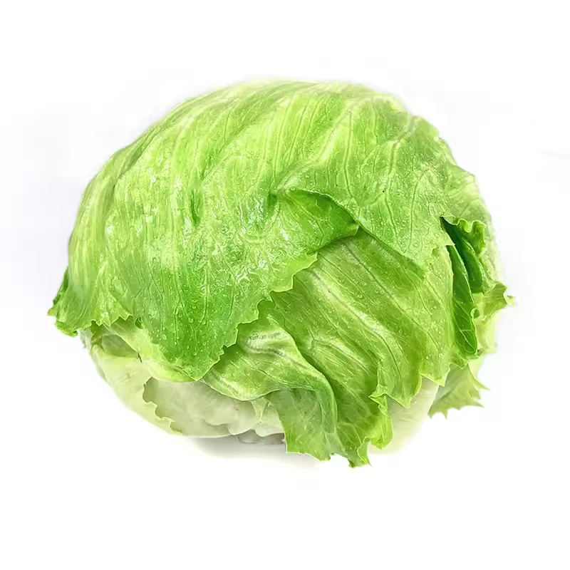 绿食者新鲜球生菜3斤汉堡火锅西餐生菜沙拉食材生吃沙拉蔬菜美味