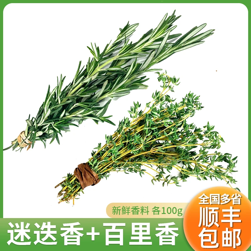新鲜迷迭香百里香共200g西餐牛排烧烤食用涮火锅食材香料配料组合