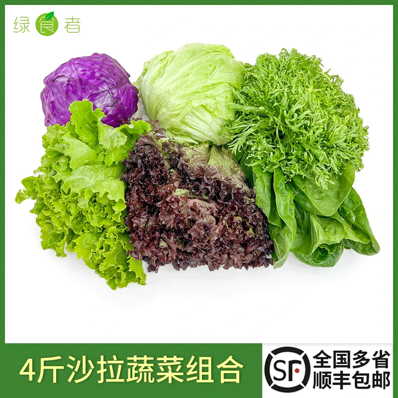 绿食者新鲜沙拉蔬菜组合4斤色拉蔬菜西餐健身爽口蔬菜沙拉生菜