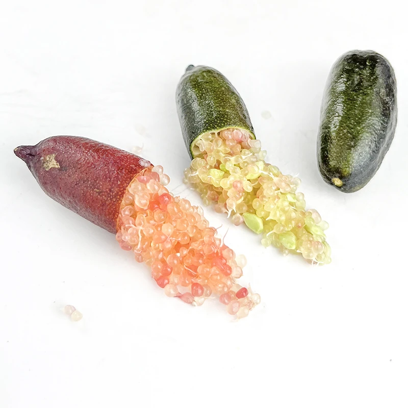 绿食者手指柠檬新鲜指橙鱼子酱水果中西餐佐食材摆盘装饰材料