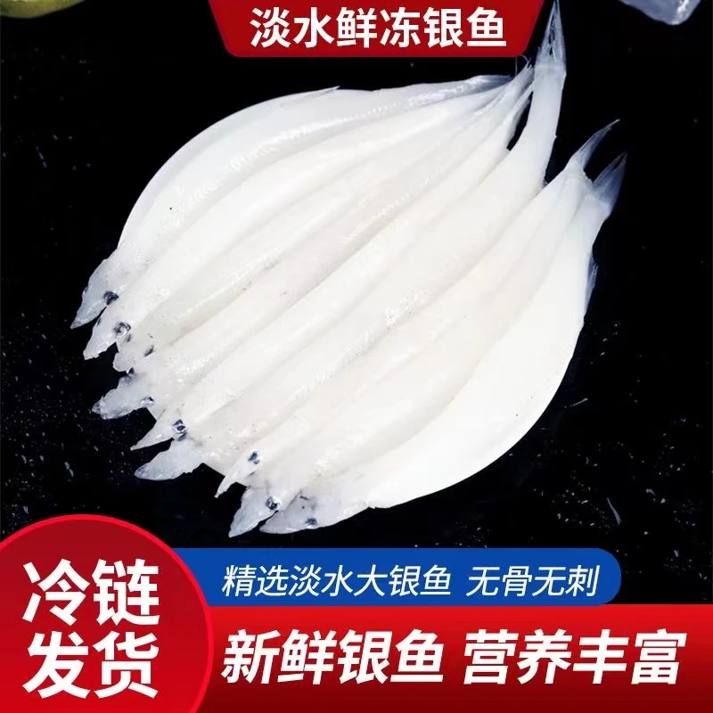 东北吉林四平二龙湖特大银鱼面条鱼无鳞无刺宝宝辅食老人食用1斤