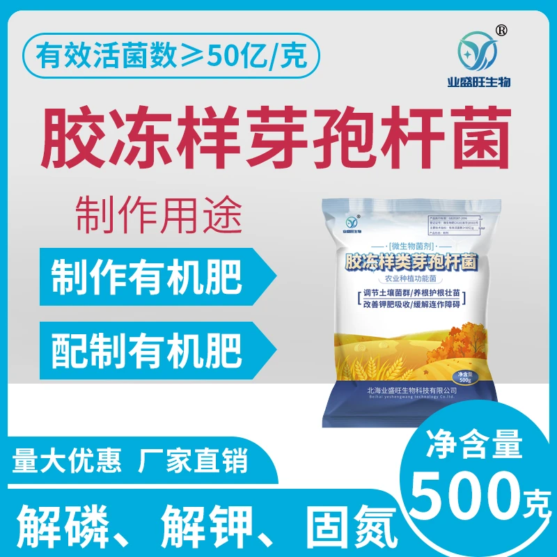 50亿/克胶质芽孢杆菌胶冻样芽孢杆菌硅酸盐细菌活孢子原菌粉解钾