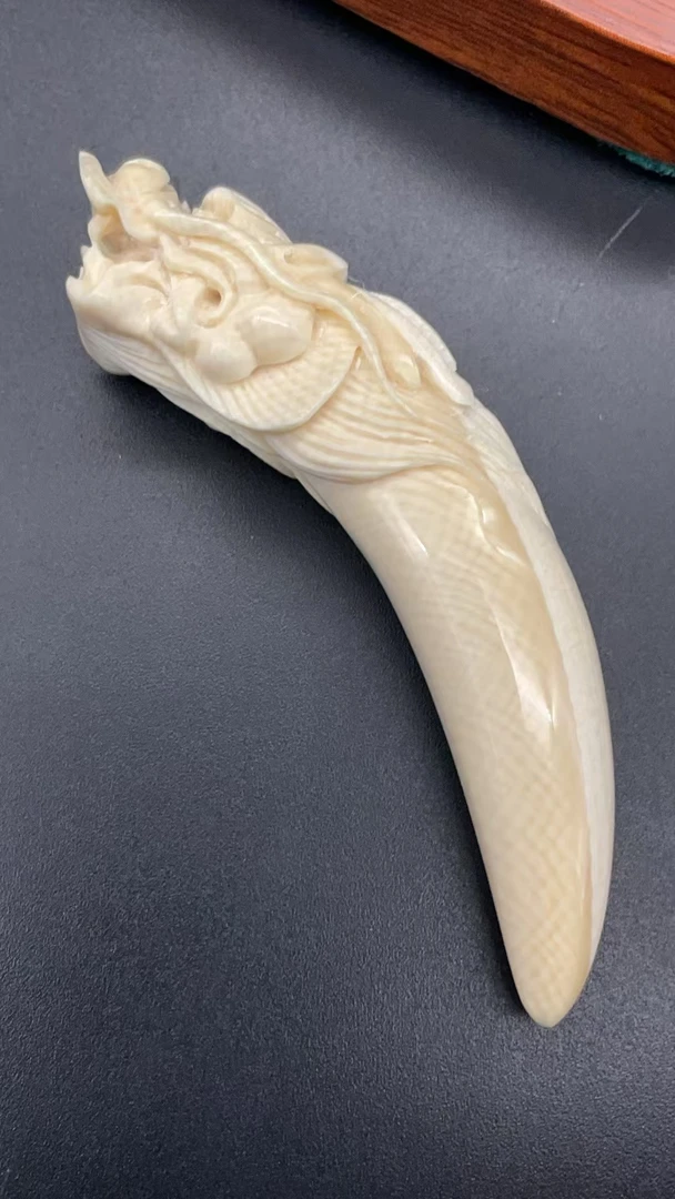 60995精品猛犸牙龙型牙尖挂件