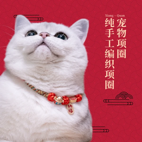猫咪新年猫咪红绳宠物狗狗脖圈猫咪项圈猫项圈猫咪项链猫咪围脖