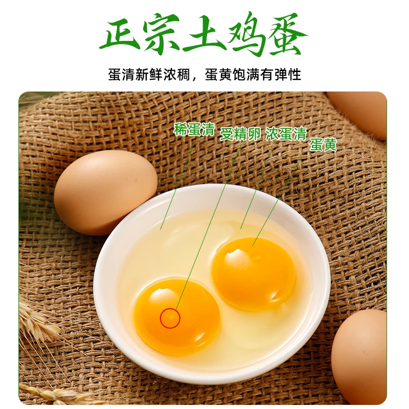 肥西农家散养土鸡蛋24小时现发顺丰包邮营养新鲜健康