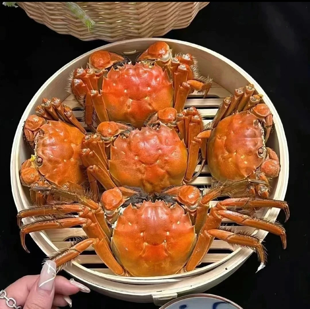 (鲜活到家)精品净重2.5两母蟹