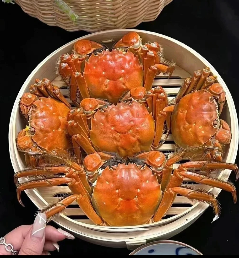 (鲜活) 8只礼盒装净重2两母蟹