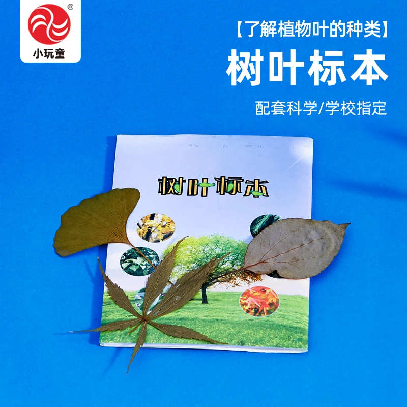 树叶标本教科版一年级上册同步教程DIY制作小学生好玩教具送视频