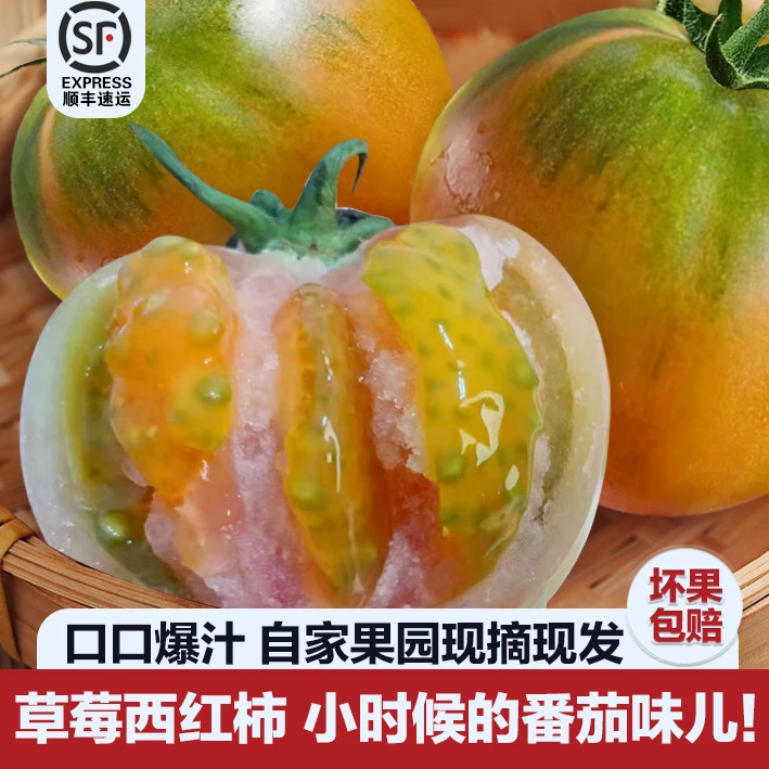 正宗草莓西红柿新鲜好吃草莓番茄酸甜现摘现发发货多汁自然口感