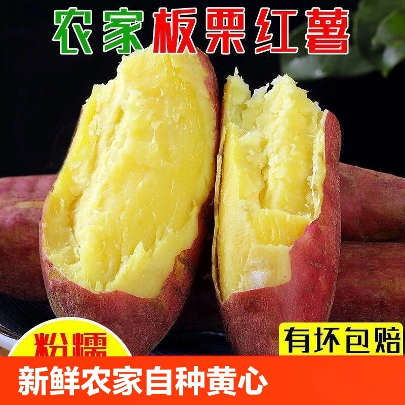 正宗板栗红薯新鲜现挖农家自种黄心地瓜沙地鸡蛋黄番薯粉糯香甜