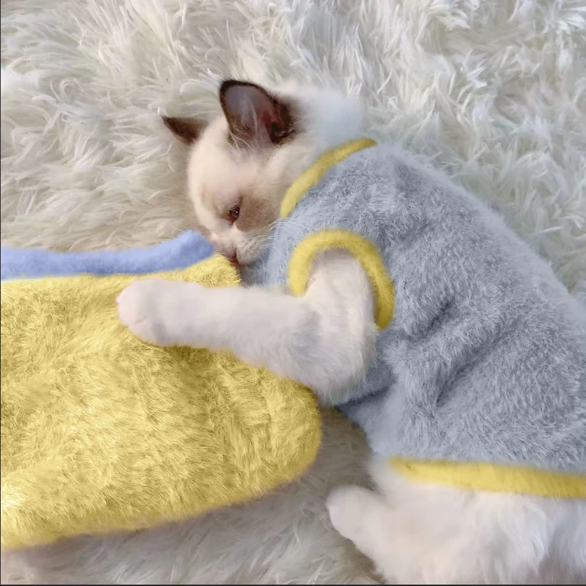 可爱秋冬季猫咪衣服狗狗冬保暖加厚背心防掉毛布偶宠物衣服小型犬