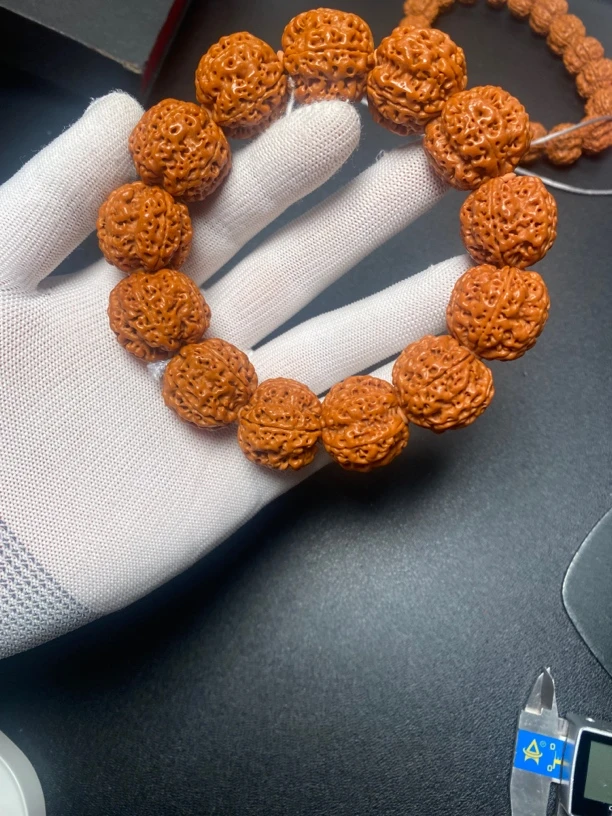 尼泊尔大金刚（102号