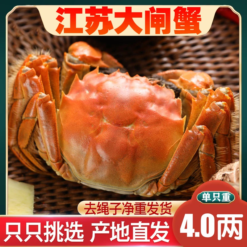 1【活蟹】京湖精品大闸蟹江苏螃蟹4.0两母+4.0两公6/8/10只京东顺丰