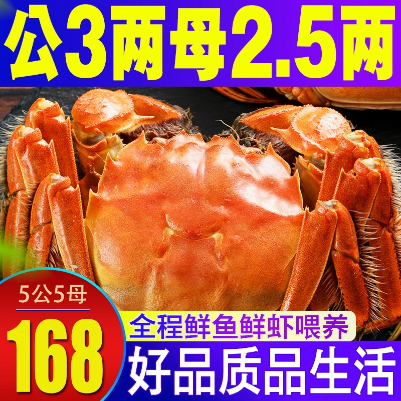【活蟹】京湖精品大闸蟹江苏螃蟹5对装公蟹3两母蟹2.5两