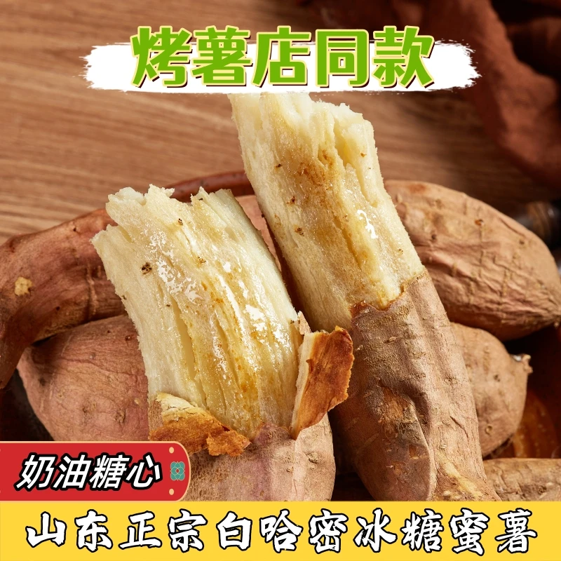 白哈密薯5斤冰糖薯优质白心红薯优选多种食用皮薄肉质鲜甜沙土地
