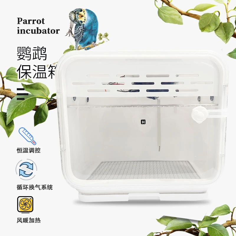 鹦鹉博士保温箱恒温智能雏幼鸟风暖保温玄凤牡丹鸽子蜜袋鼯宠物箱