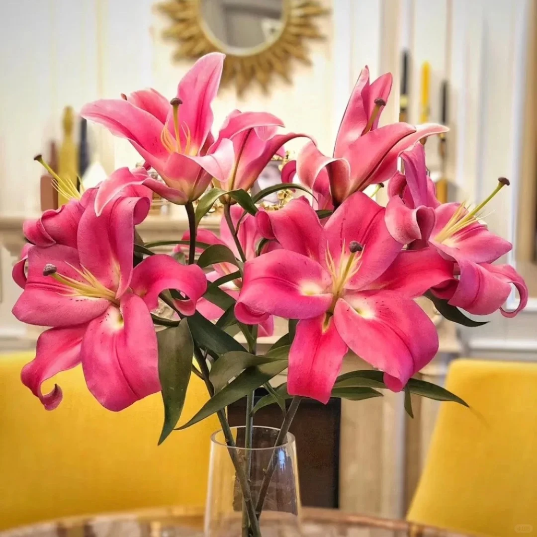 【源头优选】罗宾香水百合 任意两单花材升级顺丰冷链或德邦快递