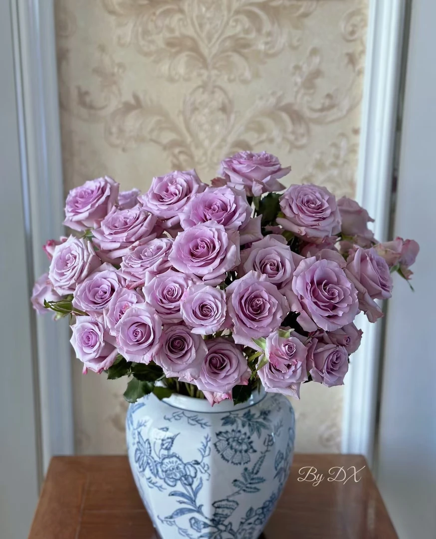 【大聪明卖花】九星蓝狐多头玫瑰-任意2单鲜花包邮发货后不支持退款