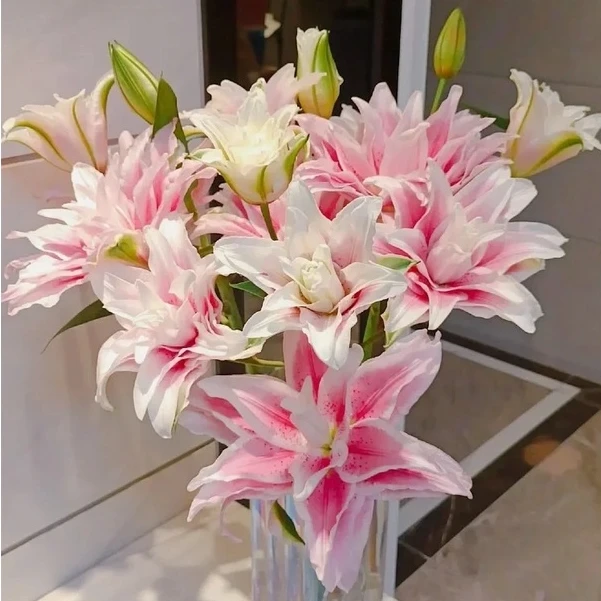 【大聪明卖花】伊莎贝拉重瓣百合任意两单升级顺丰冷链或德邦快递