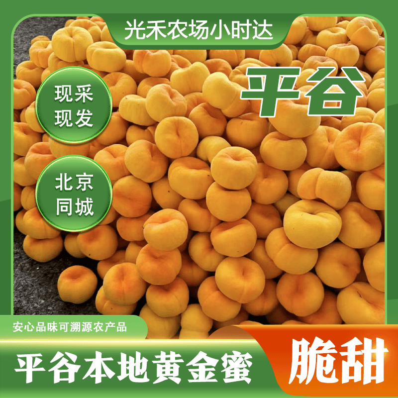 【平谷大桃】礼盒装！黄金毛蟠桃，硬吃脆甜~软吃爆汁~