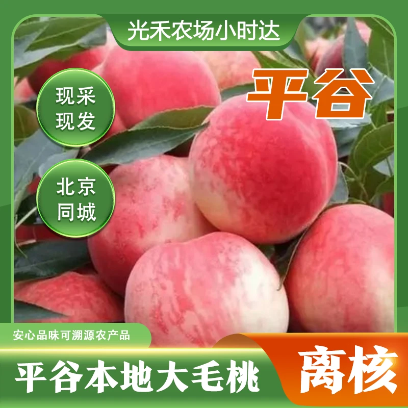 【平谷大桃】8斤普通装极品富岛红。
