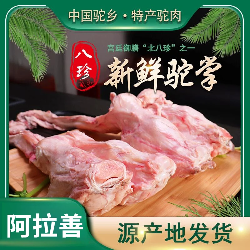 驼掌驼蹄自然散养精选前后掌一对冷链包邮阿拉善
