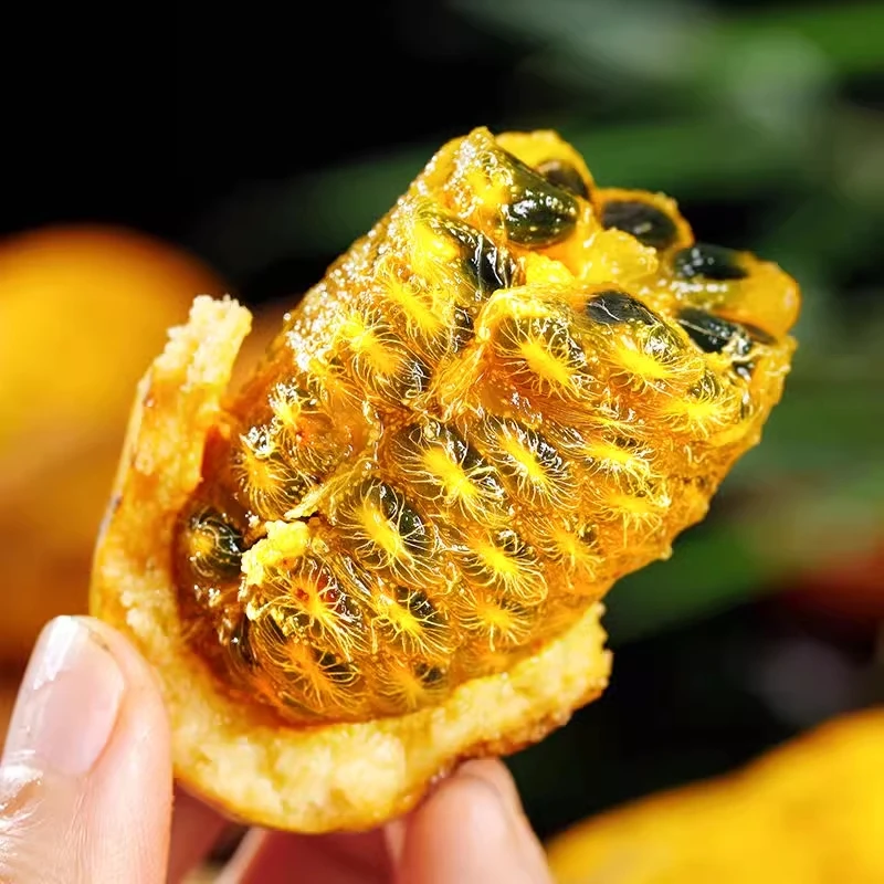 野生新鲜九月黄应季水果拿藤包麻藤包牛卵坨五叶木通果包邮