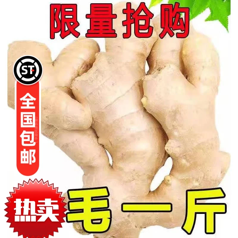 产地直发山东新鲜大姜生姜大姜块食用大块新姜月子姜精品现挖姜