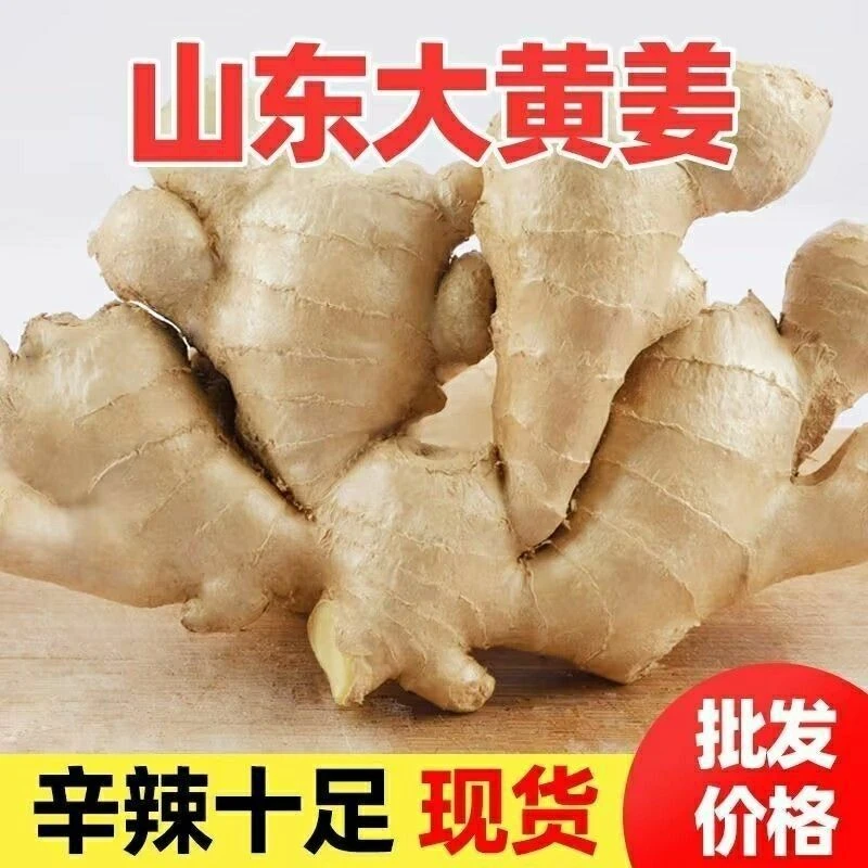 正宗山东大黄姜新鲜带泥土生姜干姜老姜月子姜新鲜蔬菜批发调味品