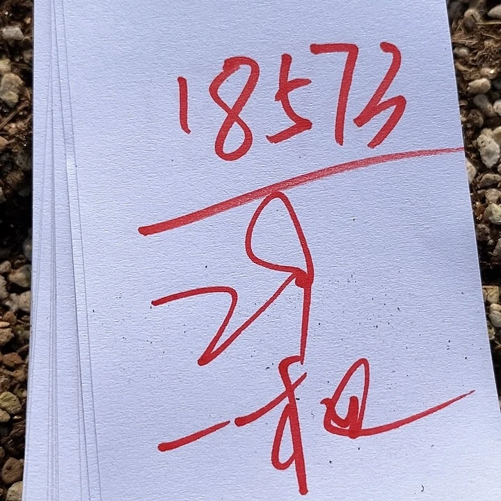 18573一筐风铃。