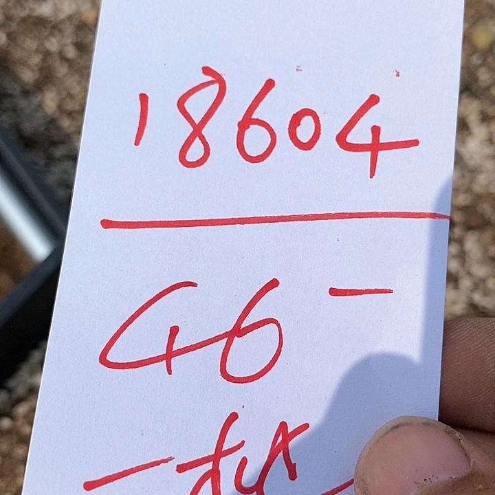 18604一筐风铃。