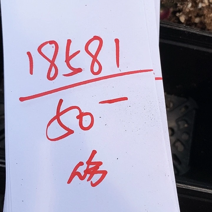 18581一组红灯有伤