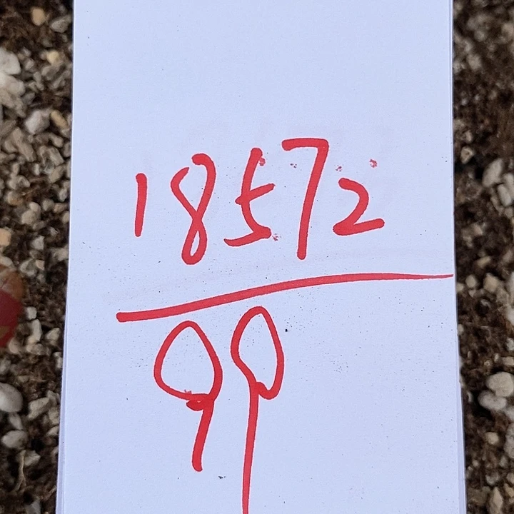 18572一组大灯母本