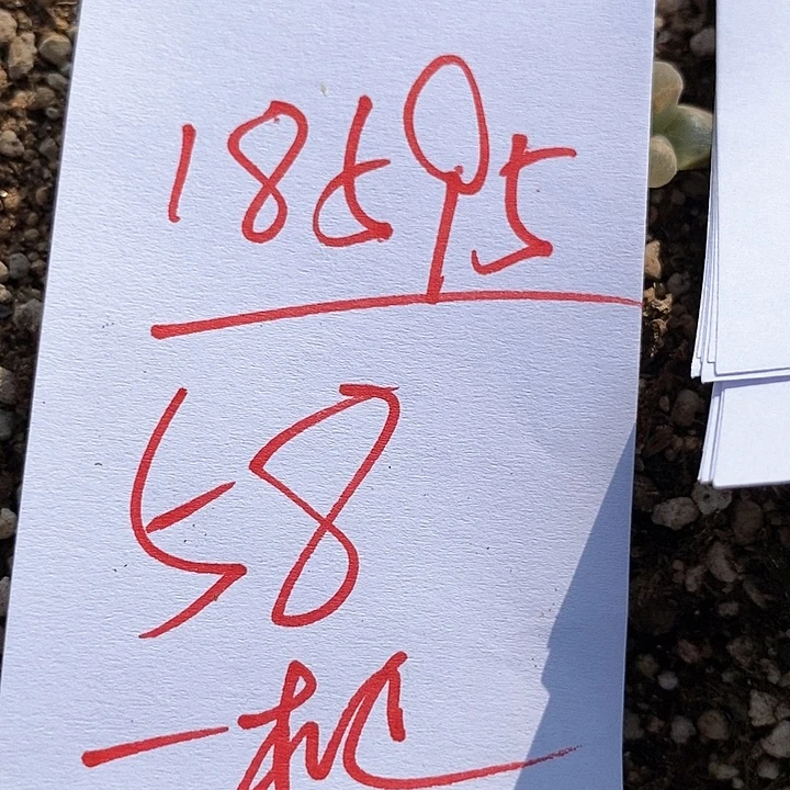 18595一筐极窗。